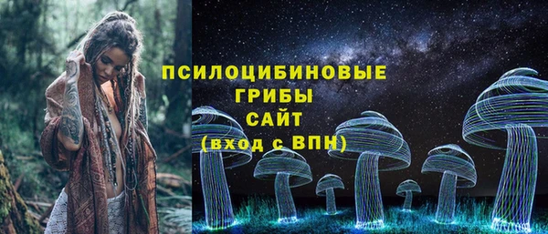 прущий лед Карпинск