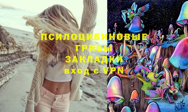 прущая мука Кинешма