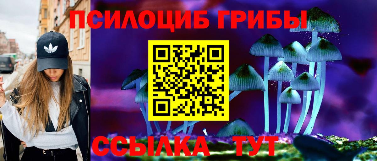 Галлюциногенные грибы прущие грибы  Вход с VPN  Ульяновск  где найти наркотики  Галлюциногенные грибы Psilocybine cubensis 
